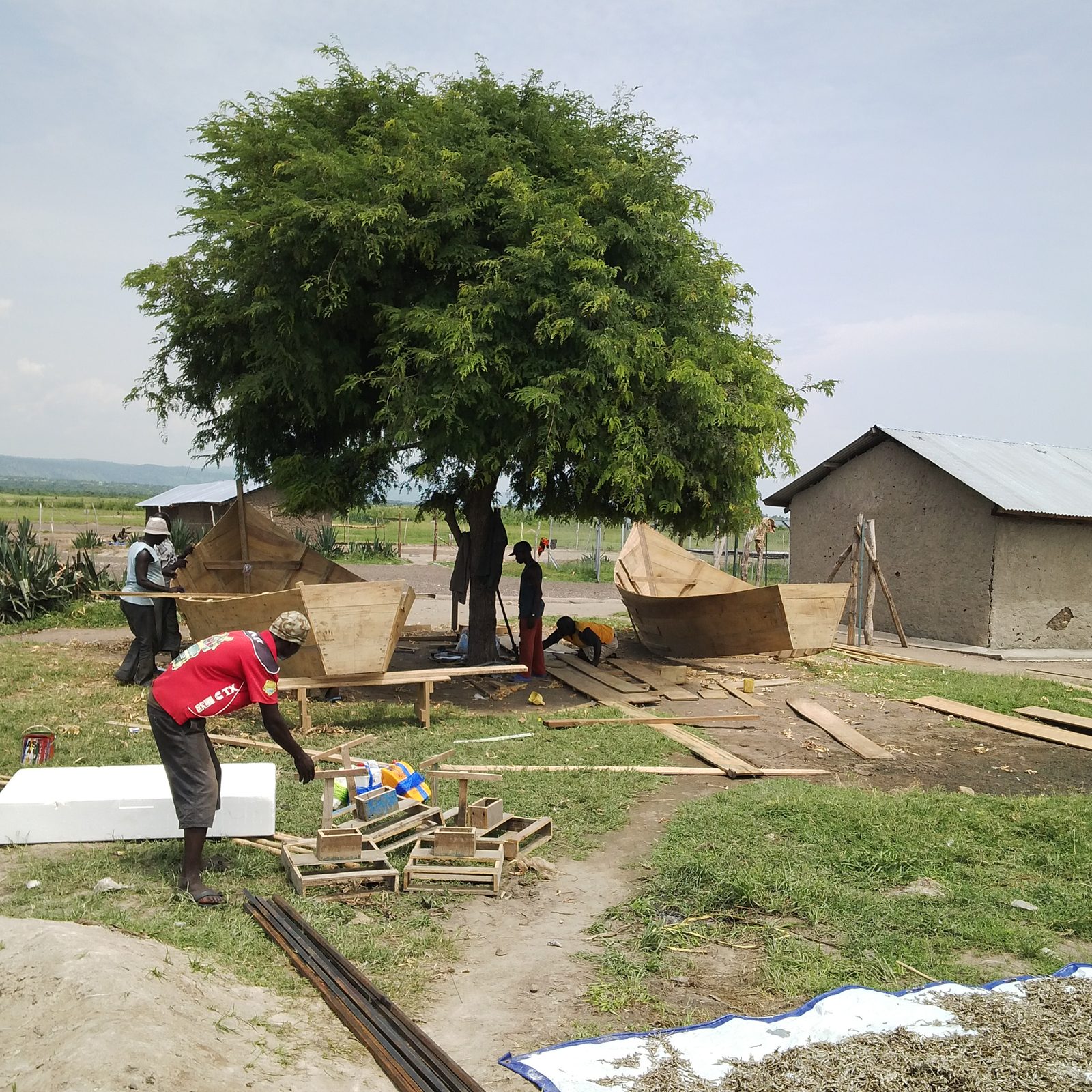 Building boats for the fish farm